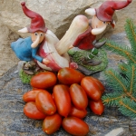 Artikelbild