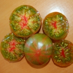 Cherokee Lime Stripes Artikelbild