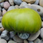 Emerald Apple Artikelbild