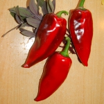 Palanacico Cudo Artikelbild