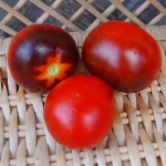 Red Charcoal Artikelbild